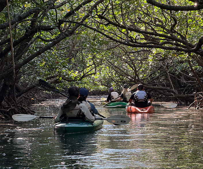 石垣北部SUPクルージング