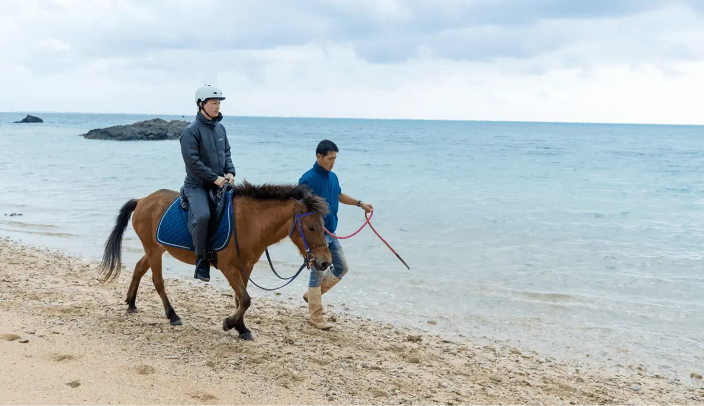 ホーストレッキング