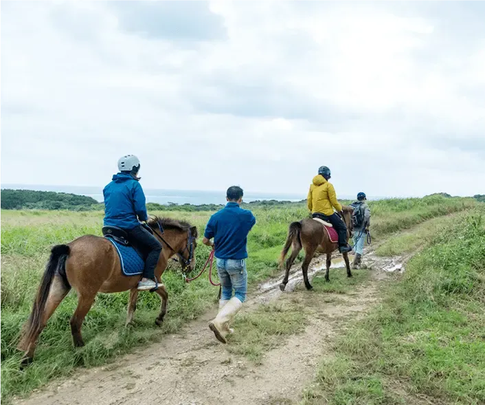 ホーストレッキング
