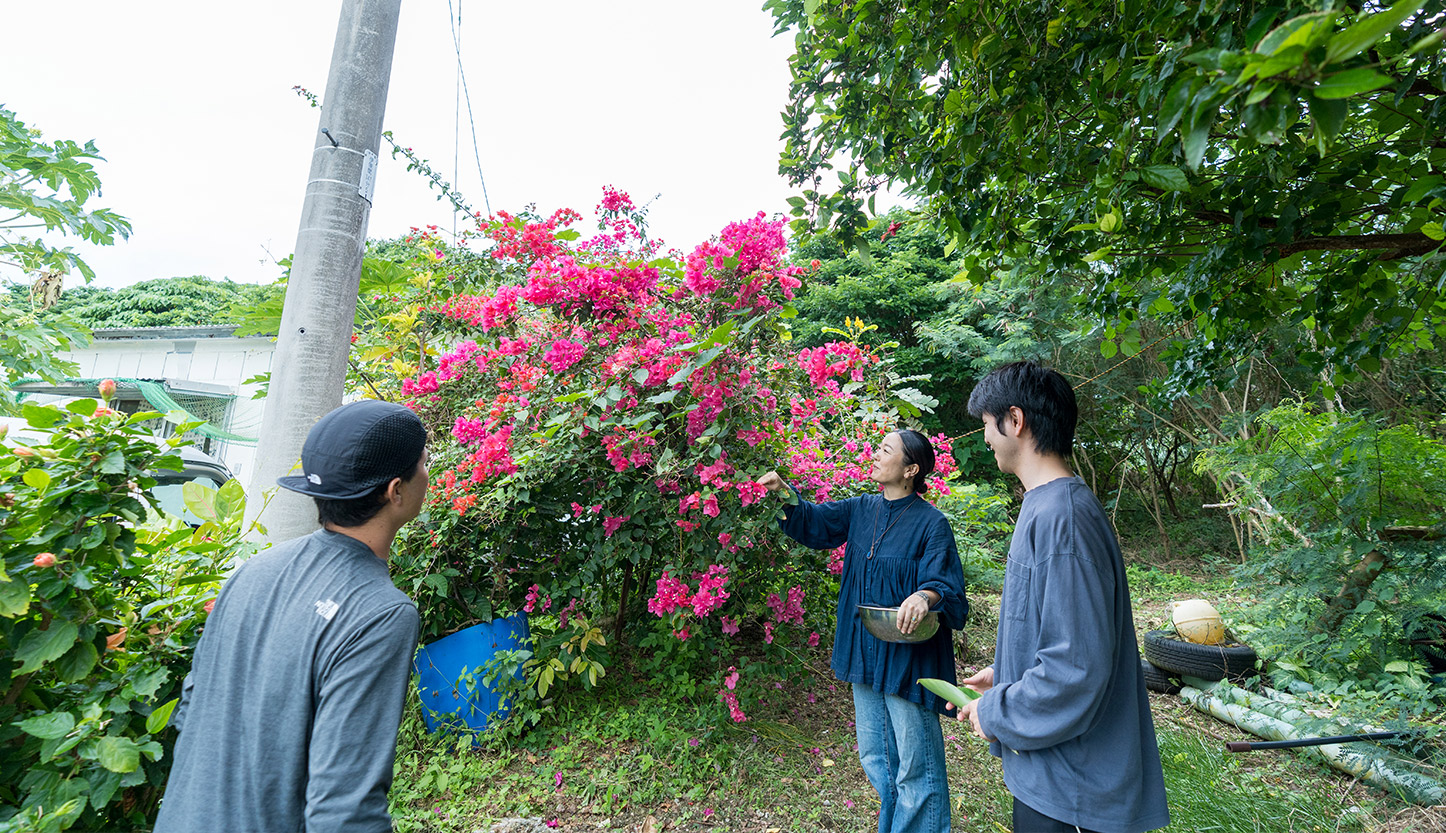 ホーストレッキング