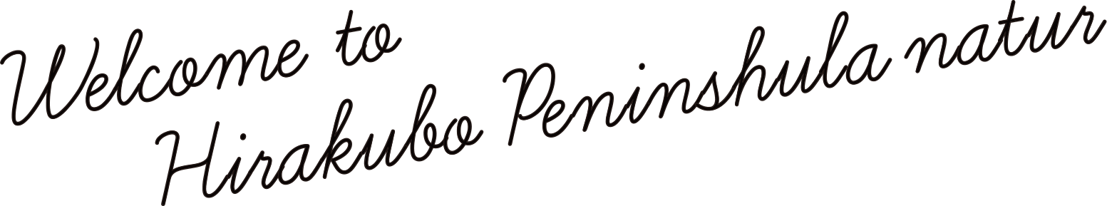 Now, Open the Door to Hirakubo Peninsula